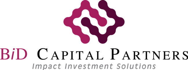 BiD CAPITAL LOGO