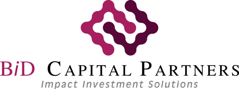BiD CAPITAL LOGO