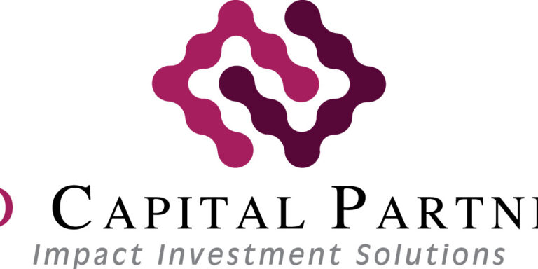 BiD CAPITAL LOGO