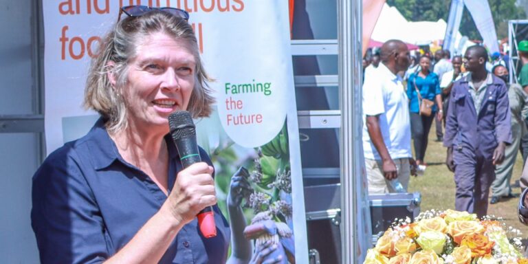 harvest money 2023 edit 1