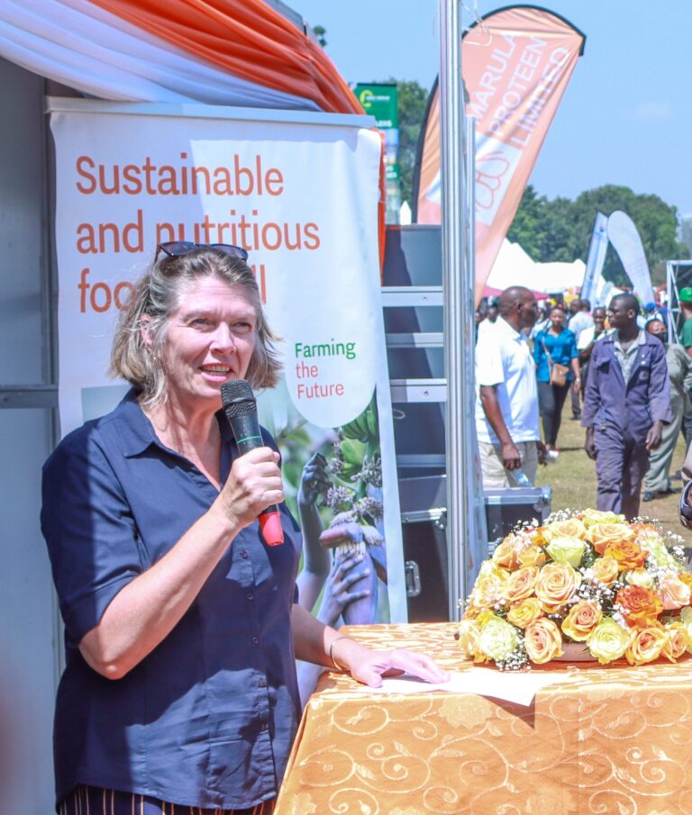 harvest money 2023 edit 1