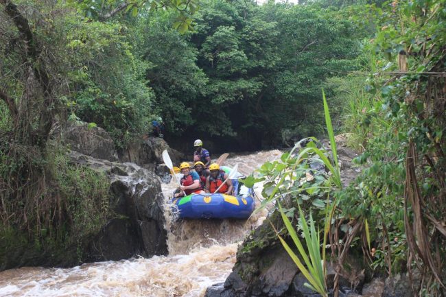 WhatsApp Image 2025-10-25 at 15.37.03